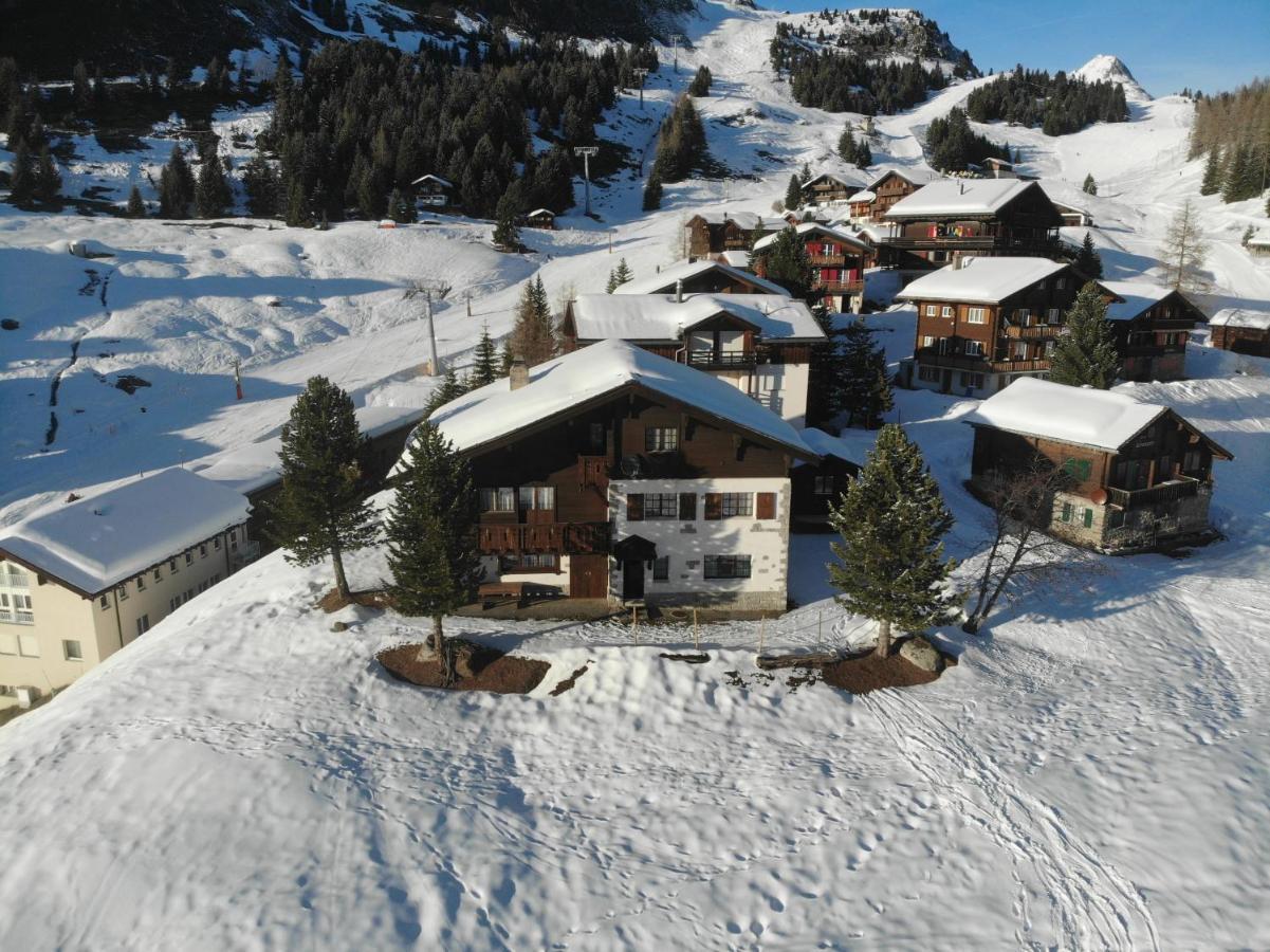 Schoenegg Hochparterre Riederalp Dış mekan fotoğraf