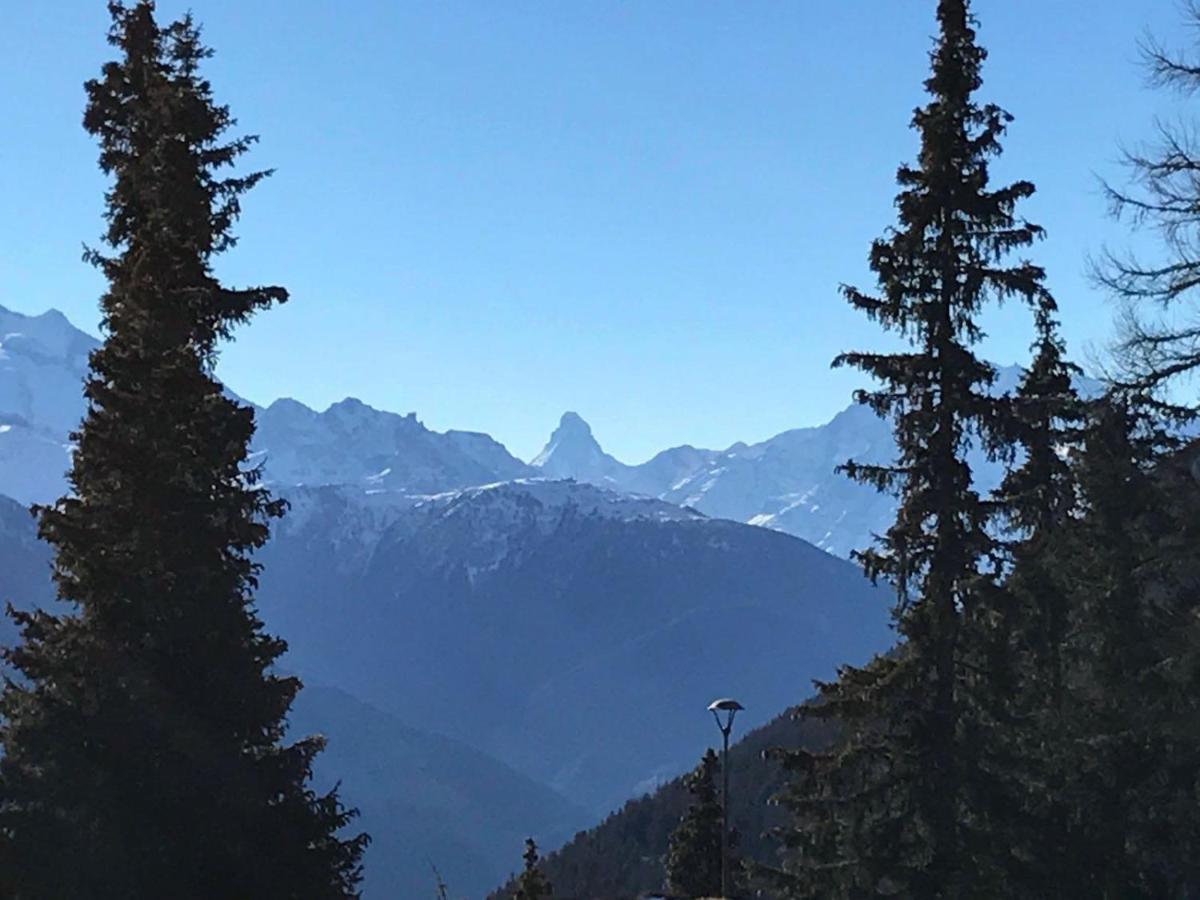 Schoenegg Hochparterre Riederalp Dış mekan fotoğraf