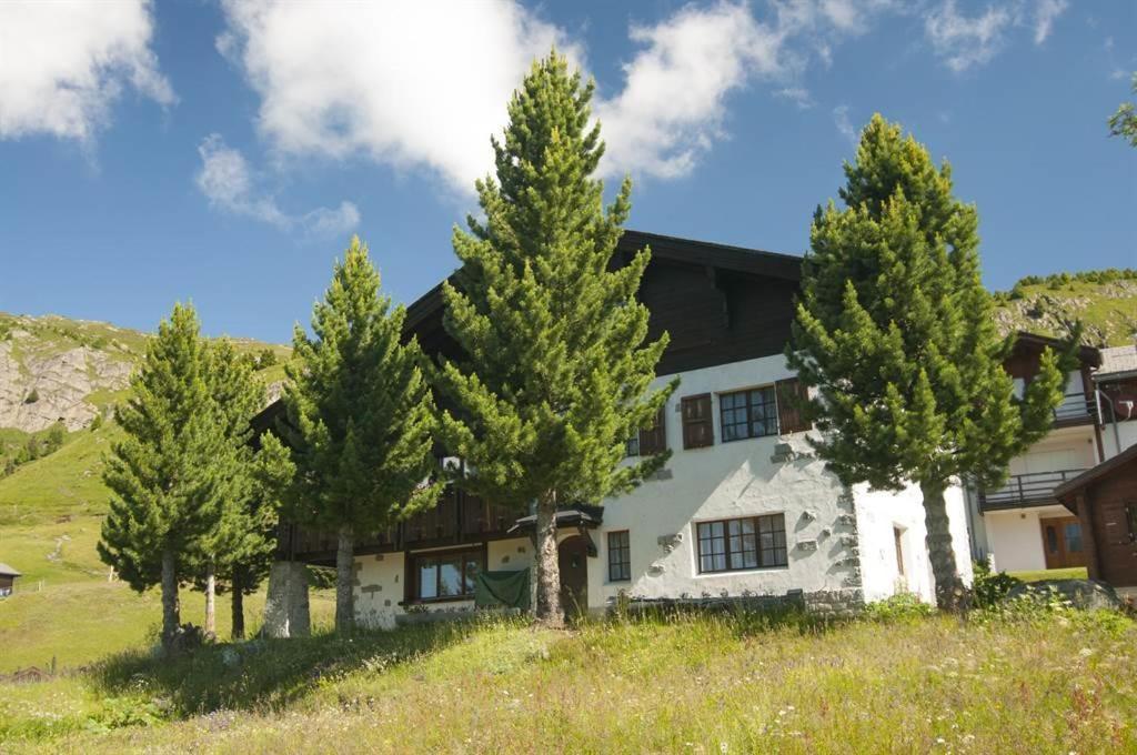 Schoenegg Hochparterre Riederalp Dış mekan fotoğraf